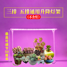 led�����a�������l�Gֲ���L�������������Դ������������ɫ��