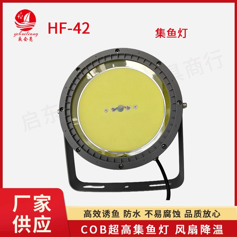 Производители поставляют водонепроницаемые морские рыболовные плоты для ночной рыбалки