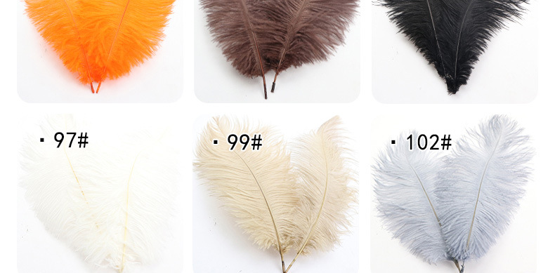 鸵鸟毛55-60_10