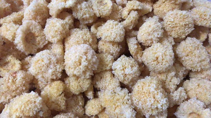 약 4-7cm 스크리닝