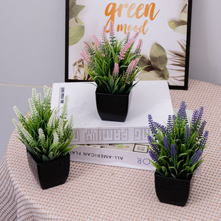 2024����޹�²ݷ��滨���Ա��W�¿��辰�Ҿ�����͏d�ٻ��b[��