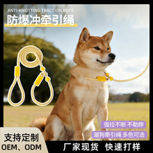 一体式狗狗牵引绳高强尼龙绳防爆冲狗狗p绳不勒脖可调节颈围狗绳