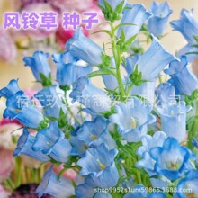 �л��L⏻��N���ļ��ﲥ�҃��̨�����׷N�L⏲ݻ�����ֲ�ﻨ��