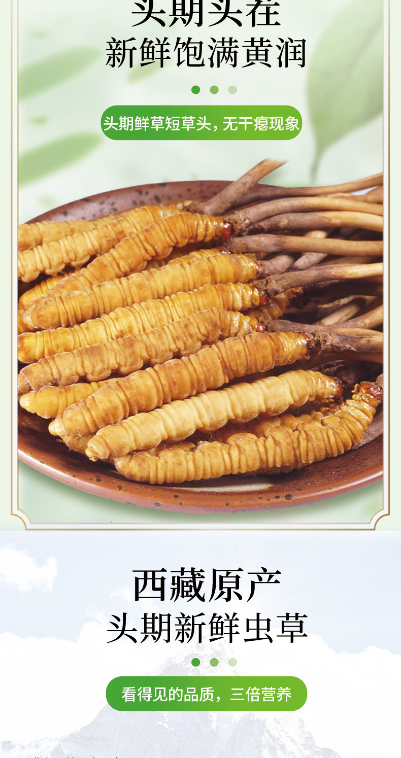 新鲜虫草_04.jpg