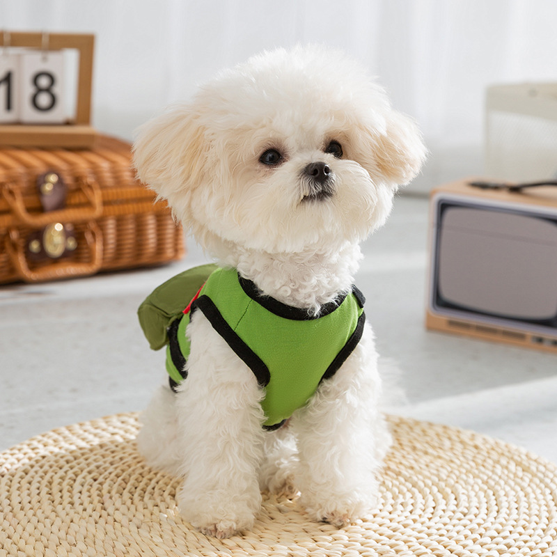 Primavera y verano perro estilo universitario retro para jóvenes bolso de hombro chaleco de estudiante de dos pies gato peluche ropa para perros