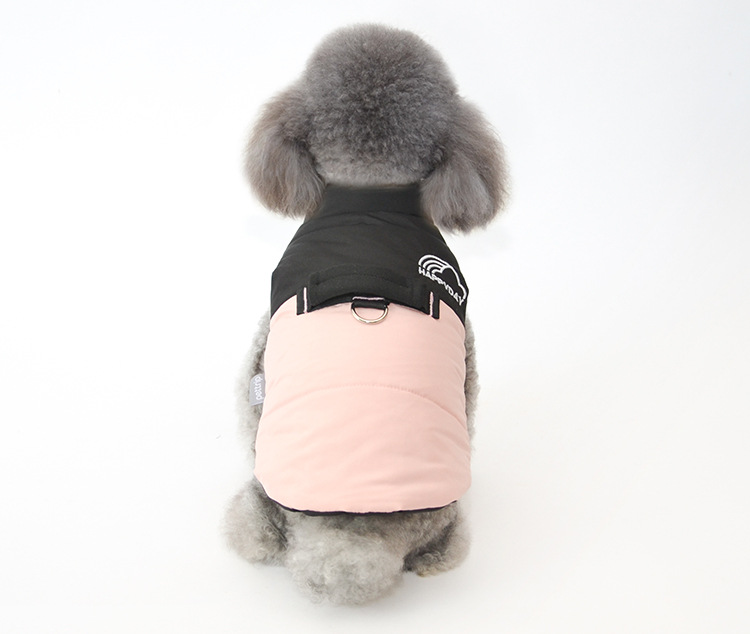 Pet Fashion