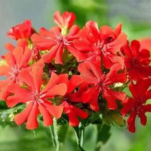 _N 󻨼_л ļNͥԺԻܷNN