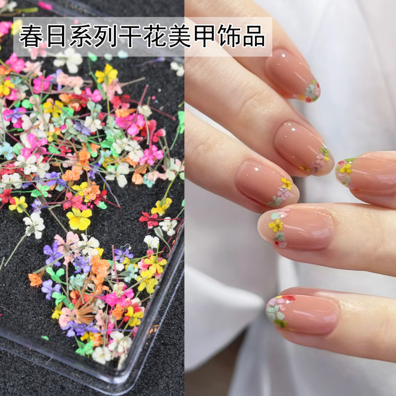 Japanese-Style Dried Flower Nail Art Ins Monet Garden Oil Painting Color Scheme Small Flower Mixed Floral DIY Nail Decorations Fresh and Simple