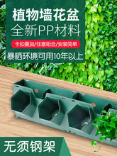 �䳲����ֲ���ֱ�G�����������ڒ����w�҃ȑ���Nֲ�۾Gֲ����