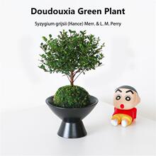 С�~���̦�\���ļ������̨��x����Gֲ�k���҃��������Ի���