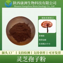 灵芝孢子粉 灵芝菌粉 低温物理破壁 康洲生物 现货 厂家直供 量大