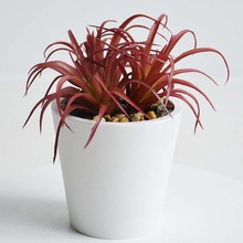 ��������tɫ�J�CС���ԼҾ����晙���S��[�Ŷ��ÿ���С����