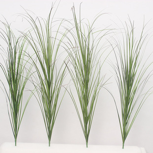 ����Gֲ�JȔ�Ҿ��b��쾰���[�ݹ�β�݆�֧�Ƶ�@�־��^ܛ�b���