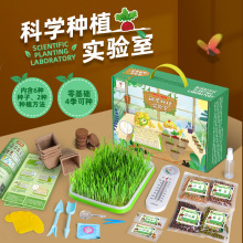 儿童种植观察种子发芽生长科学实验套装小学生diy盆栽种植玩具