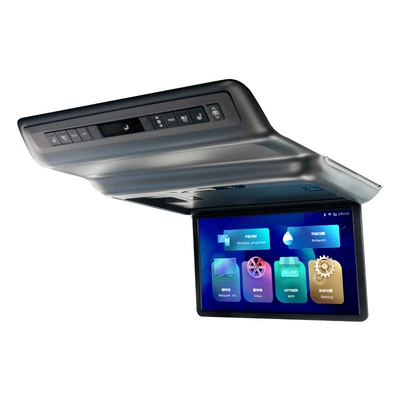 Car Rear Entertainment Whistle Celebration | Car TV
