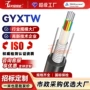 定制铠装通信管式光缆线