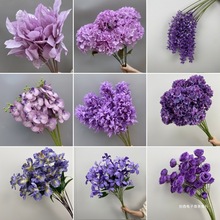 cɫϵĵֻĻYõbٻ·廨