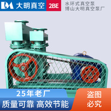 淄博源头厂家2BE水环式真空泵 铸铁不锈钢多种型号多种功率