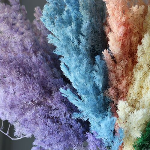 Immortal Penglai pine, cedar, hydrangea pine, preserved flowers and dried flowers. Directly approved by the manufacturer for wedding scene arrangement and flower material wholesale.