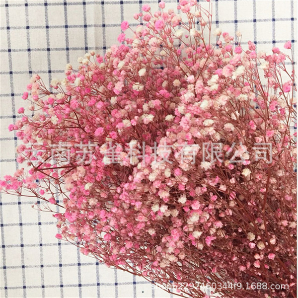 Wholesale Yunnan Ganhua Eternal Flower Flowers Di Flower DIY Bouquet…