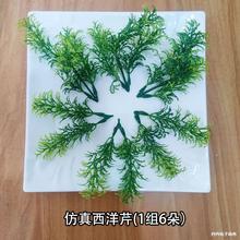 ��ɫ���m�����m�[�P���滨��������b������۲���˲ͱP�ٻ��[��