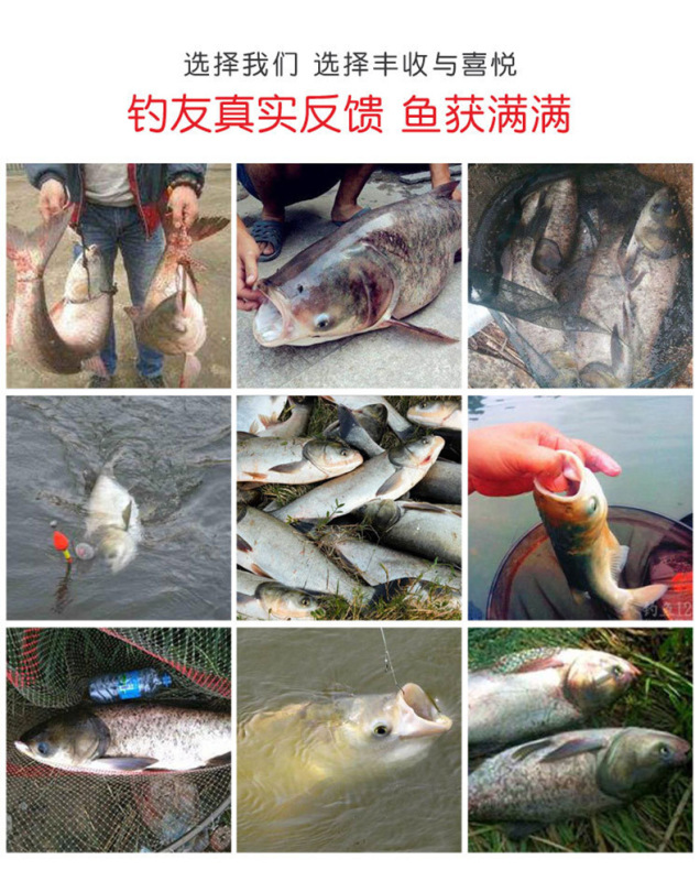 https://www.toonies.cn12.jpg_800x800.jpg