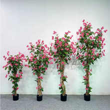 ���R�d����ֲ������÷�����҃��b�����÷��������ԏS�����l