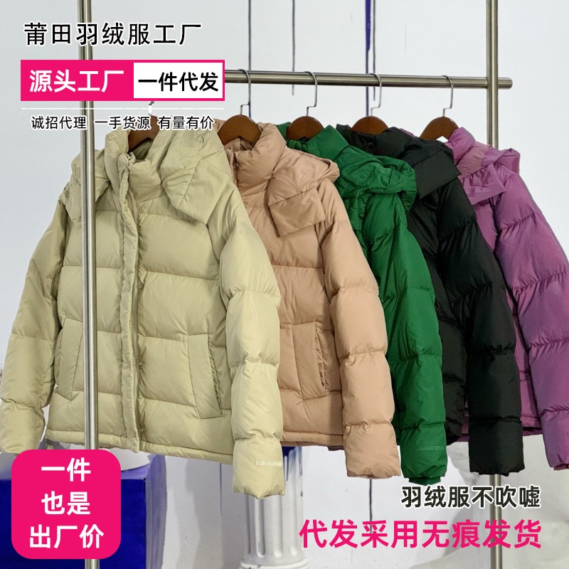 莆田露什么露羽绒服五格羽绒服泡芙鹅绒羽绒衣经典款保暖外套批发