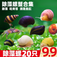 �����^�p�ݻ��w��ˮ�������坍�ݰ��R�ݺڽ����ݚ�����С������з