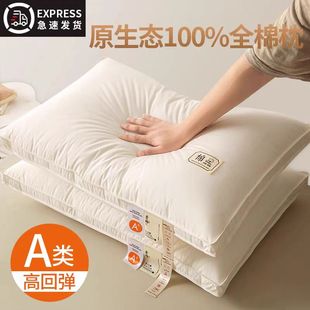 Class a Cotton Pillow, Cervical Spine Pillow Core to Help Sleep, Student Dormitory, Male Hotel Special Single Low Household Pair