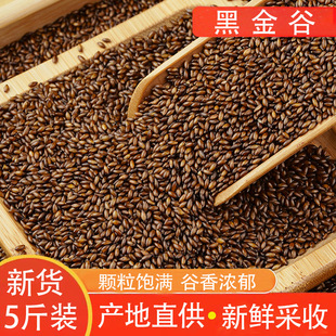 �ڽ���r�Ү������׺�С������s�Z����ּZ��֧��һ�����l