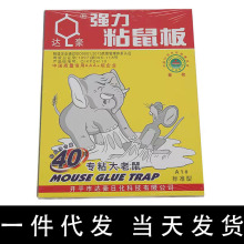 一件代发达豪A1标准强力粘鼠板批发货源新款灭鼠杀虫用品批发整箱