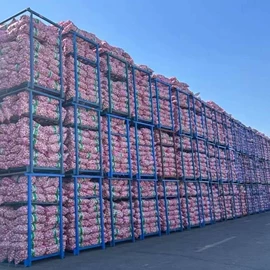 脱水蔬菜;蒜;其他调味品