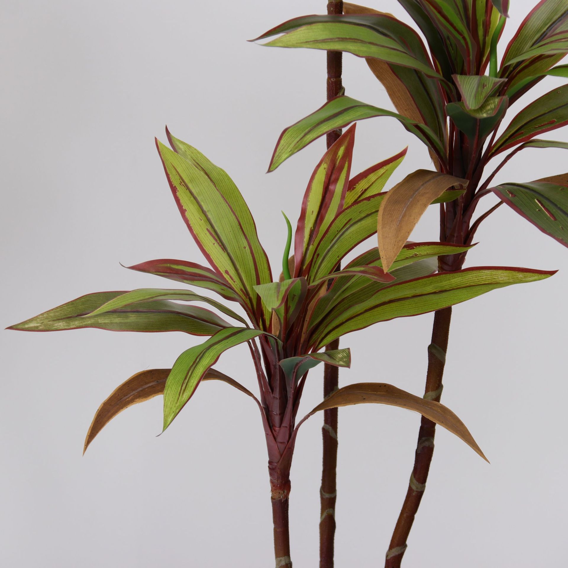 Simulación avanzada de plantación de vegetación y paisajismo Simulación de Zhujiao Árbol falso en maceta Sala de estar interior Decoración del suelo Decoración Planta biónica