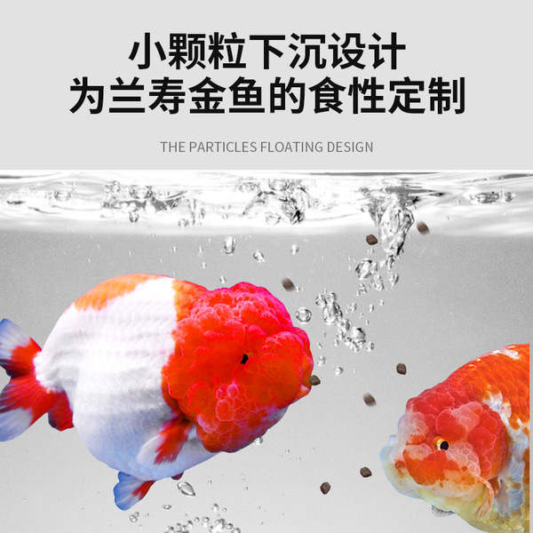 Lanshou goldfish color-enhancing feed small particles sink high…