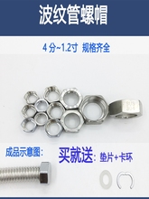 4��304���P���ñ���y��������ĸ�Mˮ��������z�|��ñ����