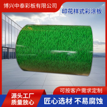 ӡ����ɫ�T�Ӱ���\��䓰�ΌӉ��������Ҏ����ӲʉT��С�ݾ���