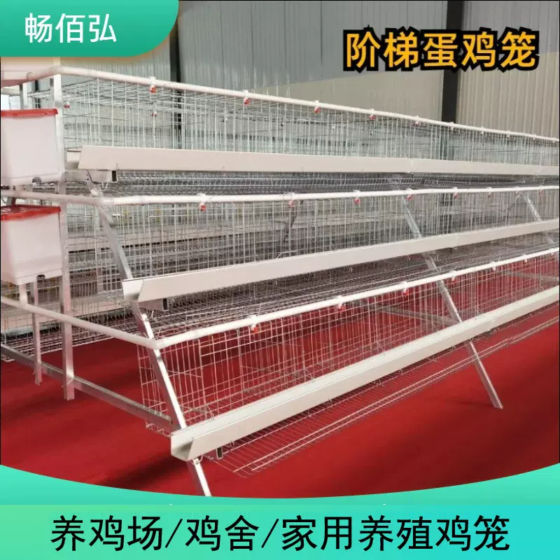 蛋鸡笼子鸡舍养鸡设备收拉门热镀锌丝大号多层层叠机械养殖设备