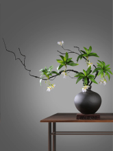 ��ʽ�մɻ�ƿ�[�������L���ټٻ��͏d���P�Ƶ��b�Ʒ��������