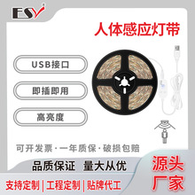 led���������w�Б����l��ˮ2835���ÏN���ڠt���������{��