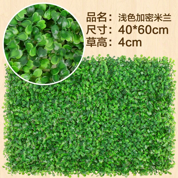 Light -colored encrypted Milan grass