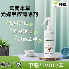 光触媒甲醛清除剂 除甲醛新房家用空气净化去甲醛除味