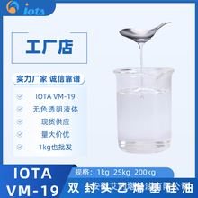 p^ϩ ϩ۹Ҫԭ IOTA VM-19