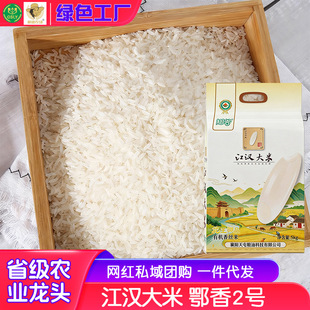 �N�Ƚ��h����10��5���ЙC�L����������i�r����2̖���������r���l
