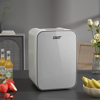 SAST 20L mini avtomobil soyuducusu, tələbə yataqxanası, ev üçün
