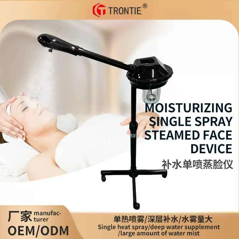跨境批发蒸脸器脸部喷雾器美容院新款补水仪美容仪喷雾机热喷