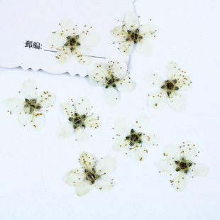 ��滨�����˱��NĘ����yѺ��̨��Ϟ�T�N���ɻ��ֹ�diy������