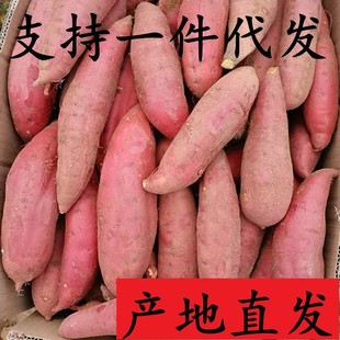 ���ϼt�������ع����r10���߲˰����������r���ԷN�t�ĬF��ɳ�ذl
