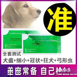 细小试纸狗狗犬瘟冠状病毒检测弓形虫狂犬