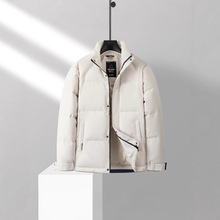 龙达【专柜同款】男士时尚立领加厚保暖羽绒服ET16379D1